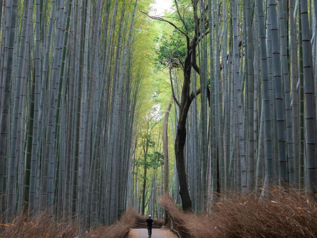 Sumitei Kiyomizu Gojo Hotel Kyoto Luaran gambar